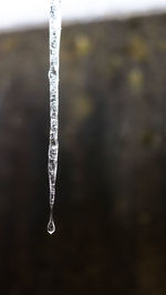 Close-up of icicles against blurred background