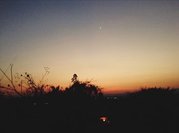 Silhouette of trees at sunset