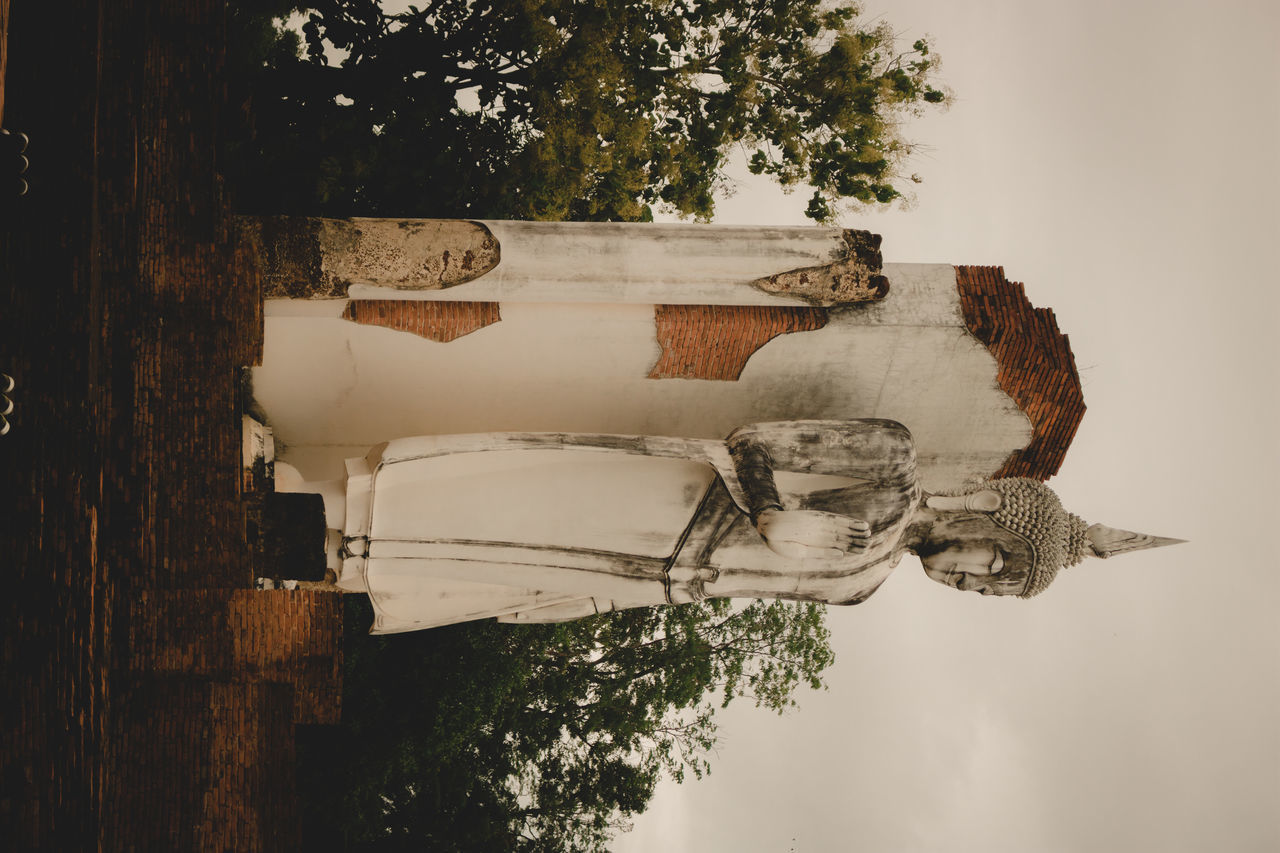 OLD SCULPTURE AGAINST TREE