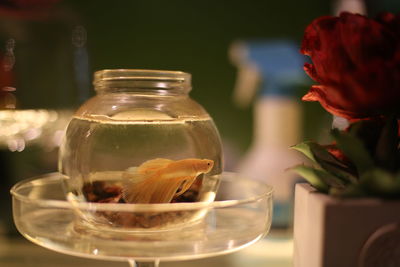 Close-up of glass of water on table