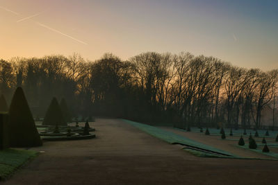 Footpath amidst trees against sky during sunset