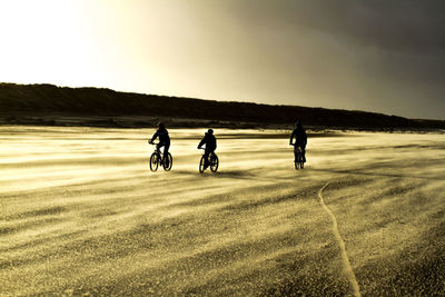 People riding bicycles on road