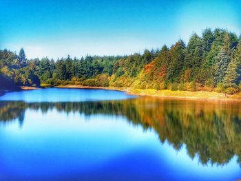 Scenic view of lake by trees against clear blue sky