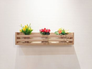 Flower pot on table against wall