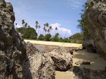 Scenic view of rocks by trees against sky