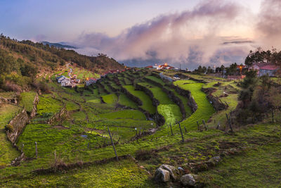 Panoramic view of agricultural field against sky