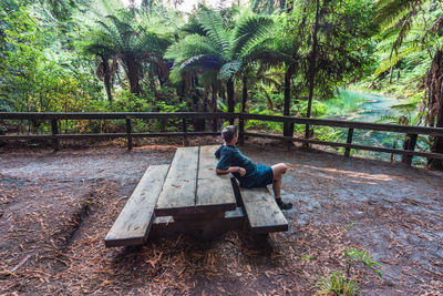 Man sitting on bench in forest