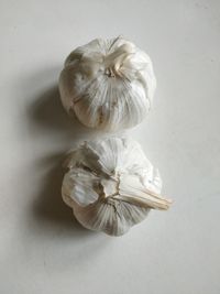 High angle view of garlic on white background