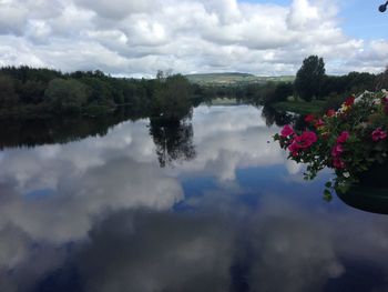 Reflection of trees in lake against sky