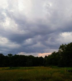 Scenic view of field against sky