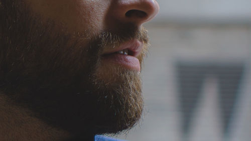 Cropped image of bearded man