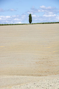 Scenic view of land against sky