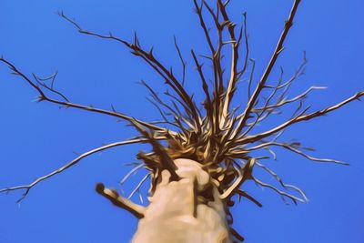 Low angle view of tree against blue sky