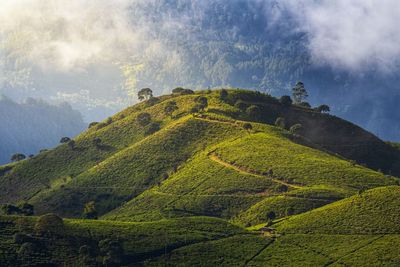 Scenic view of land against sky