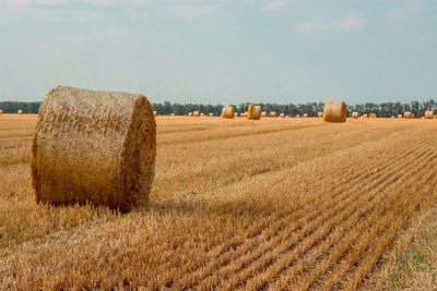 Hay bales on field against sky