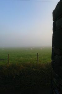 Fence on field during foggy weather