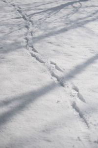 High angle view of snow covered land