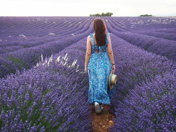Full length of woman standing by purple flowers on field