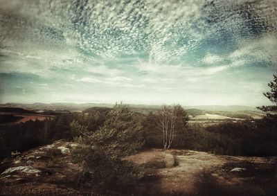 Scenic view of landscape against sky