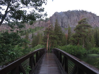 Footbridge amidst trees and mountains