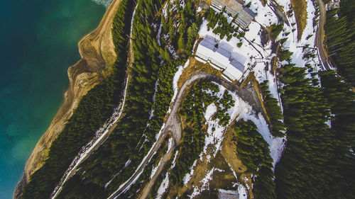 High angle view of tree by building