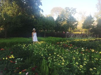 Full length of woman walking on grassy field