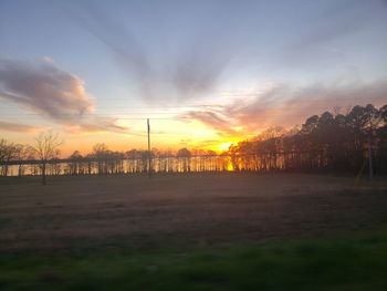 Silhouette trees on field against sky at sunset