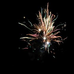 Low angle view of firework display against sky at night