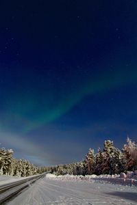 Snow covered trees against sky at night