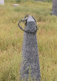 Close-up of wooden post on field