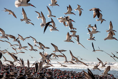 Calm, placid waters of the waterway that flows from clam pass into the ocean in naples, florida.