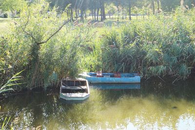 Boats moored on river against trees