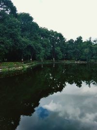 Reflection of trees in calm lake