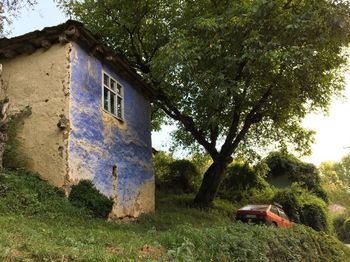 Trees and house on field against sky