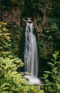 Scenic view of waterfall in forest