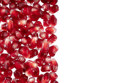 Close-up of red berries against white background