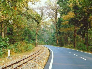 Empty road amidst trees in forest