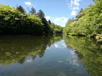 Scenic view of lake by trees against sky