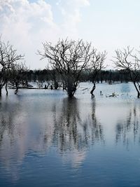 Scenic view of lake against sky during winter
