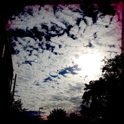 Low angle view of trees against sky