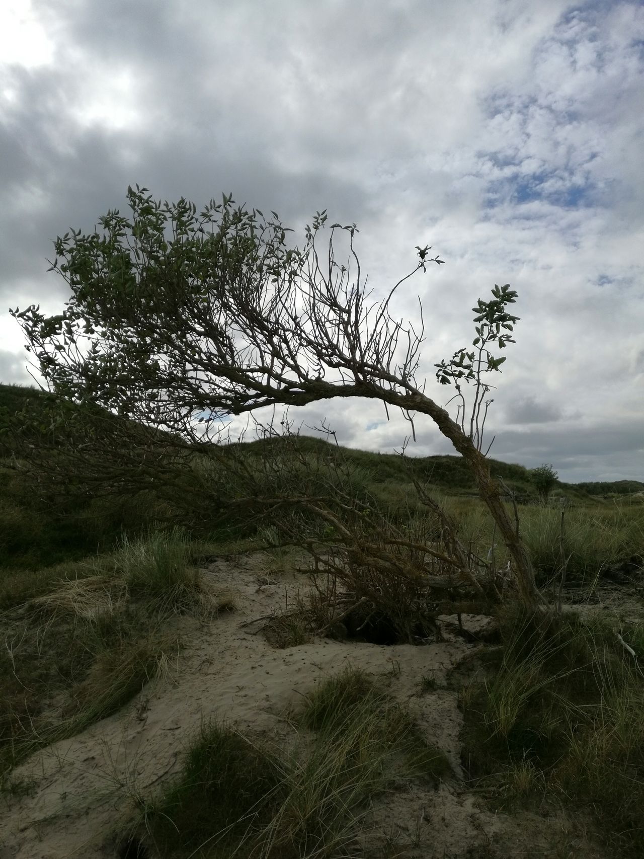 Norderney