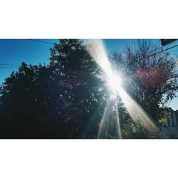 Low angle view of trees against sky