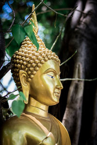 Close-up of buddha statue outdoors