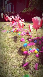 Pink flowers in water