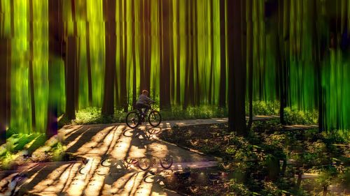 Boy riding bike in forest