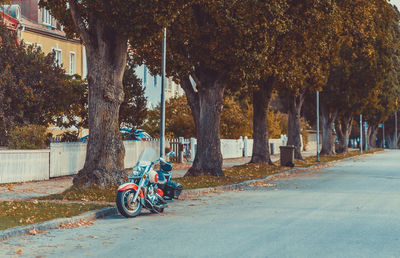 Motorcycle by trees on road