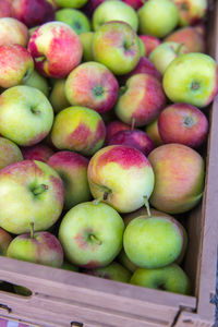 High angle view of apples in market