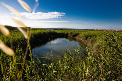 Scenic view of lake against sky