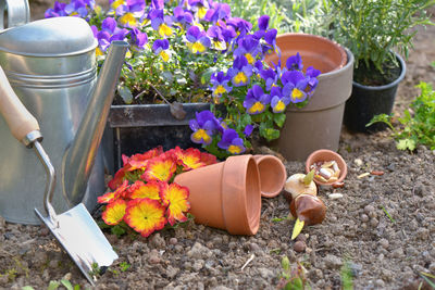 Potted plant by flower pot