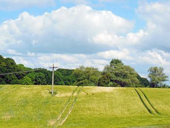 Trees on landscape against cloudy sky